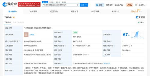 愛奇藝新公司布局AI 軟件開發(fā)與系統(tǒng)集成服務(wù)引領(lǐng)智慧變革